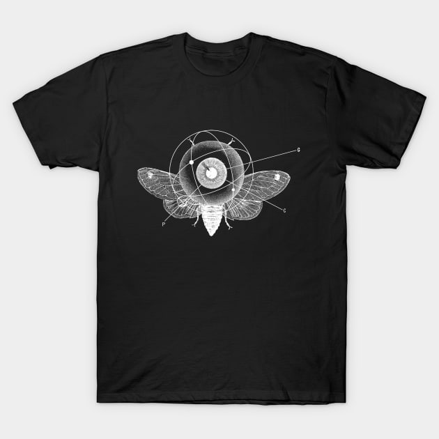 Big brother's eye T-Shirt by BRAVE CREATION